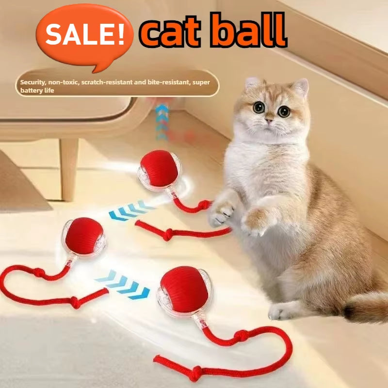 Toys for Cats Toys Interactive Cat Rolling Ball Toys Rechargeable Cat Products Motion Ball Self-Moving Kitten Toysfor Indoor