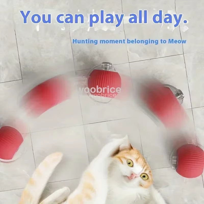 Toys for Cats Toys Interactive Cat Rolling Ball Toys Rechargeable Cat Products Motion Ball Self-Moving Kitten Toysfor Indoor