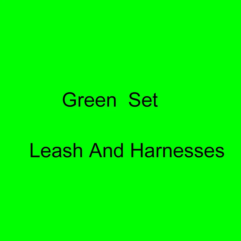 3.5Cm off Dog Leash Collar and Harness Dog Collar Small Fashion Neon Dog Collar 1.5M Leash Set Pet Wedding Dog 2021
