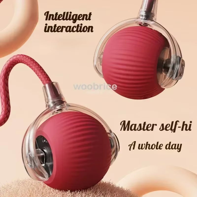 Toys for Cats Toys Interactive Cat Rolling Ball Toys Rechargeable Cat Products Motion Ball Self-Moving Kitten Toysfor Indoor