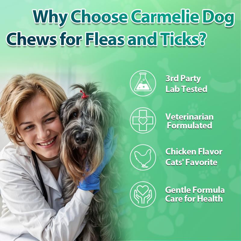 Carmelie Flea & Tick Prevention Chewables for Dogs - 200 Treats - Natural Pest Defense - Oral Supplement for All Breeds & Ages - Chicken Flavor Pet Products Vitamin