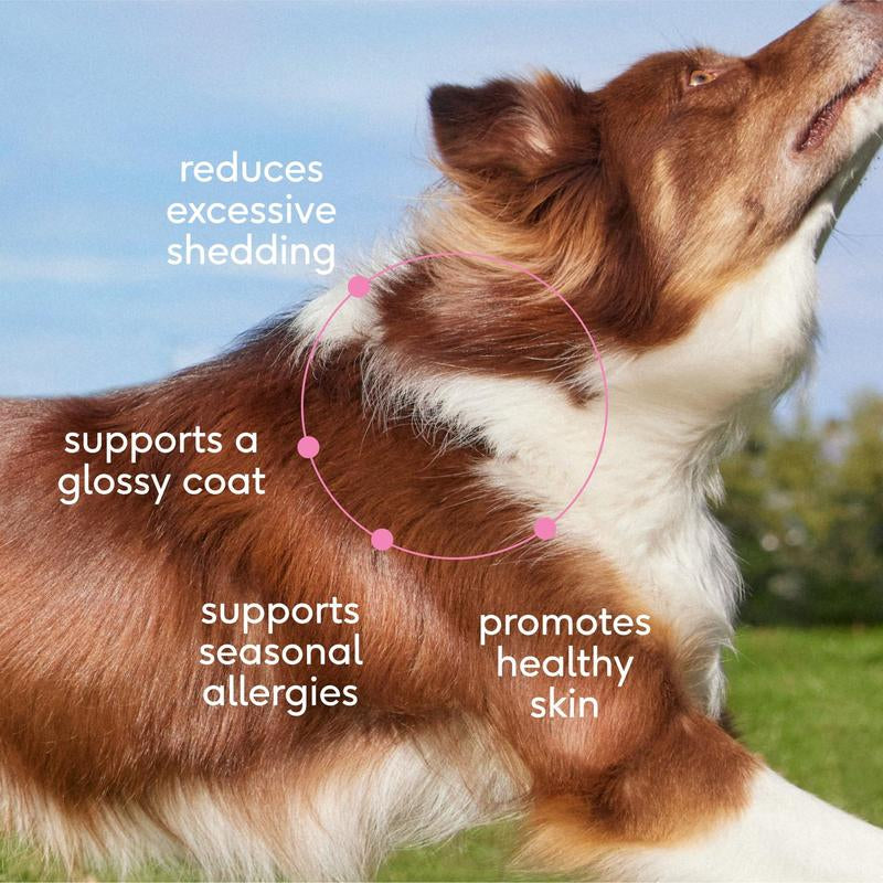 Native Pet Skin+Coat Chews for Dogs | Air-Dried Chews Made with Real Chicken