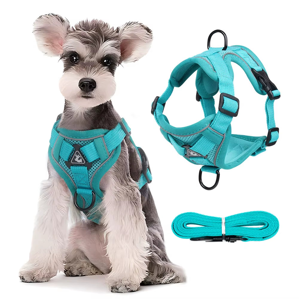 Dog Harness Leash Set Adjustable Pet Chest Strap for Small Medium Dogs Cats Reflective Puppy Harness Vest French-Bulldog York