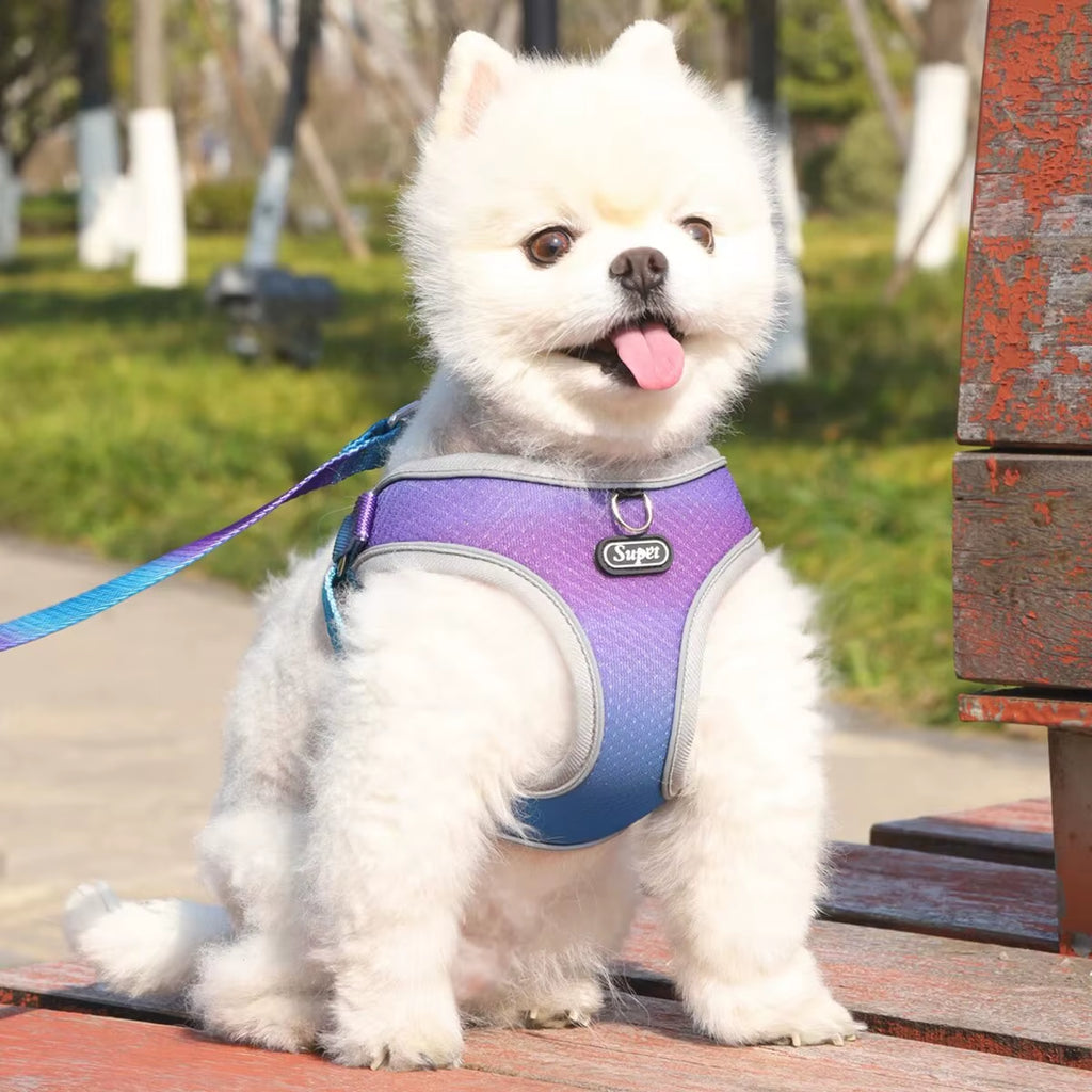 Pet Step-In Dog Harness, Adjustable Reflective Soft Dog Harness, Breathable Dog Vest Harness for Cats Puppy
