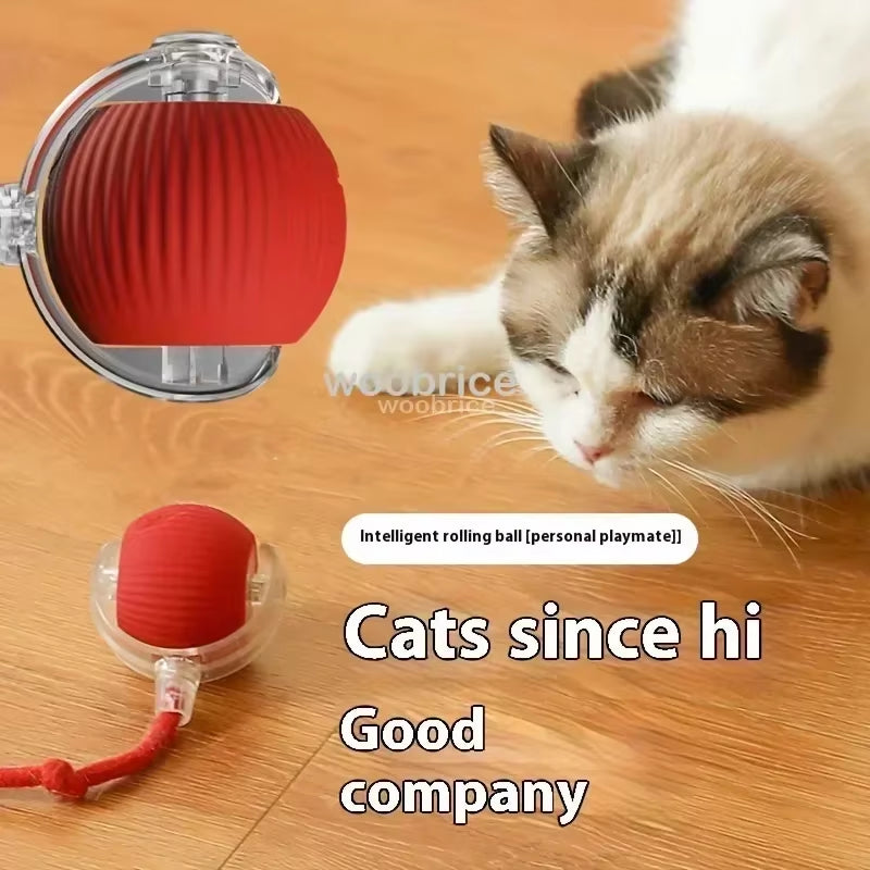 Toys for Cats Toys Interactive Cat Rolling Ball Toys Rechargeable Cat Products Motion Ball Self-Moving Kitten Toysfor Indoor