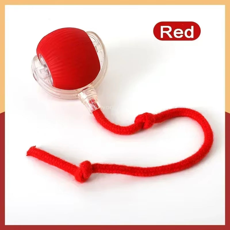 Toys for Cats Toys Interactive Cat Rolling Ball Toys Rechargeable Cat Products Motion Ball Self-Moving Kitten Toysfor Indoor