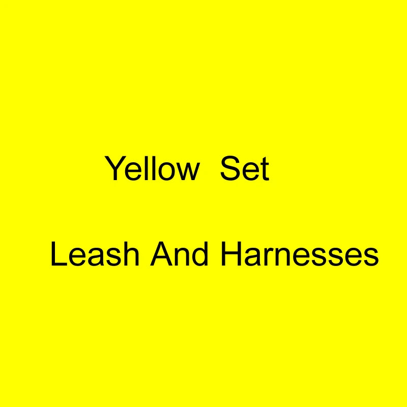 3.5Cm off Dog Leash Collar and Harness Dog Collar Small Fashion Neon Dog Collar 1.5M Leash Set Pet Wedding Dog 2021