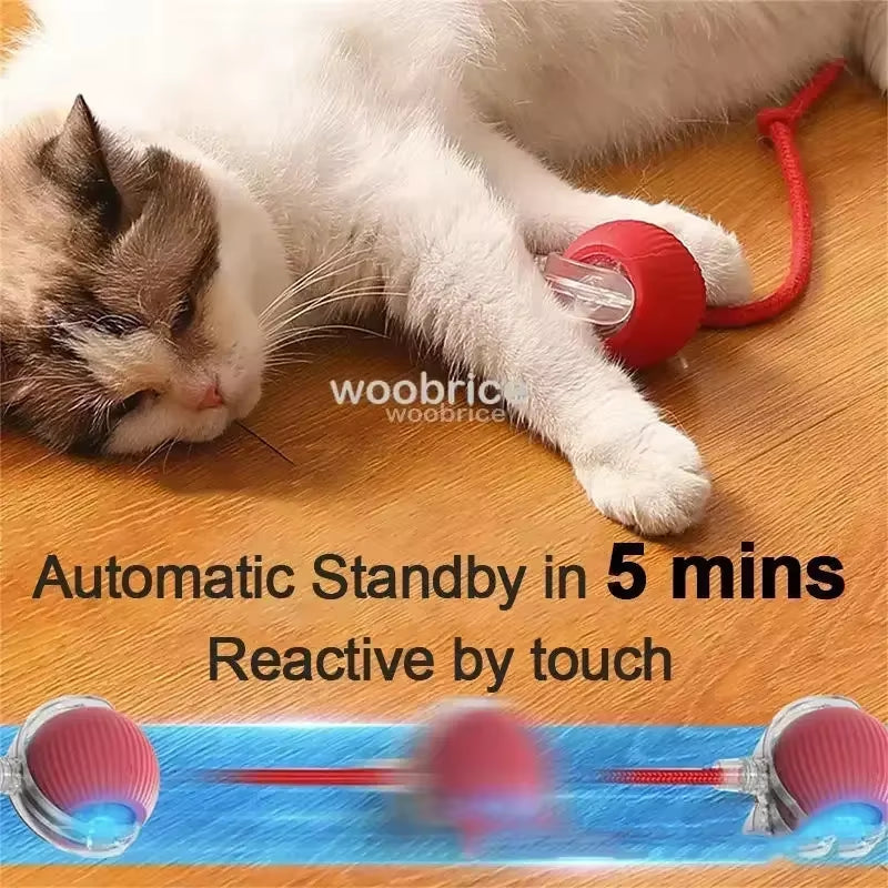 Toys for Cats Toys Interactive Cat Rolling Ball Toys Rechargeable Cat Products Motion Ball Self-Moving Kitten Toysfor Indoor