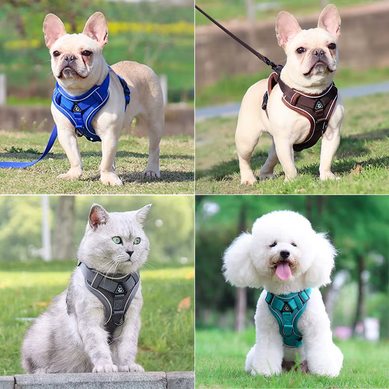 Dog Harness Leash Set Adjustable Pet Chest Strap for Small Medium Dogs Cats Reflective Puppy Harness Vest French-Bulldog York